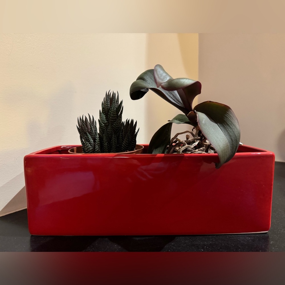 Ceramic Rectangular Succulent Planter Pot /Window Box - Modern Minimalist- Red